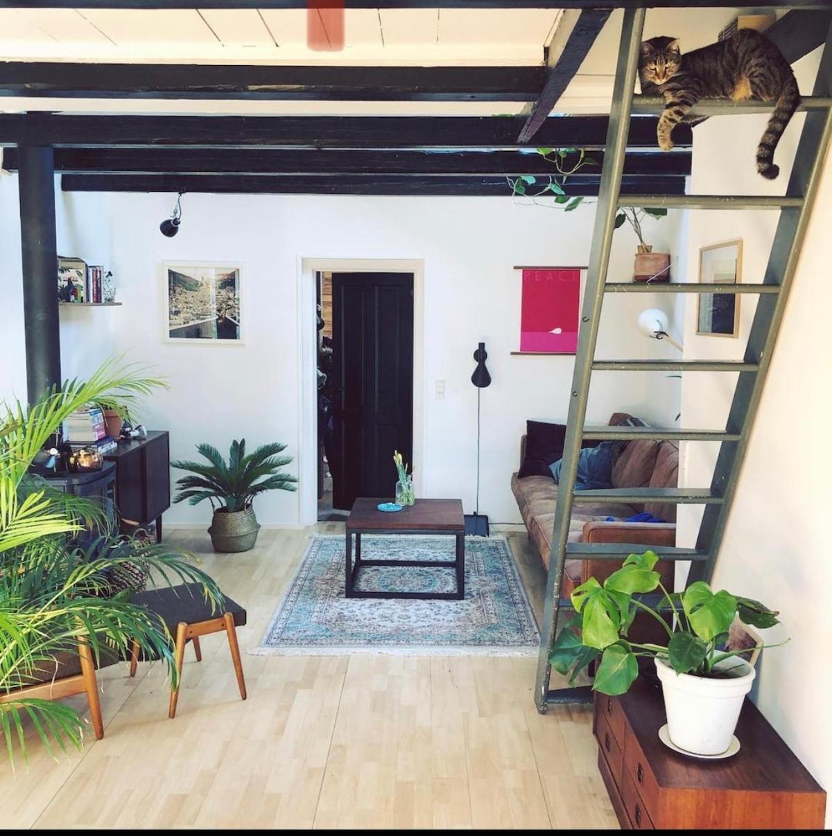Cozy Close To Vakantiehuis Kopenhagen